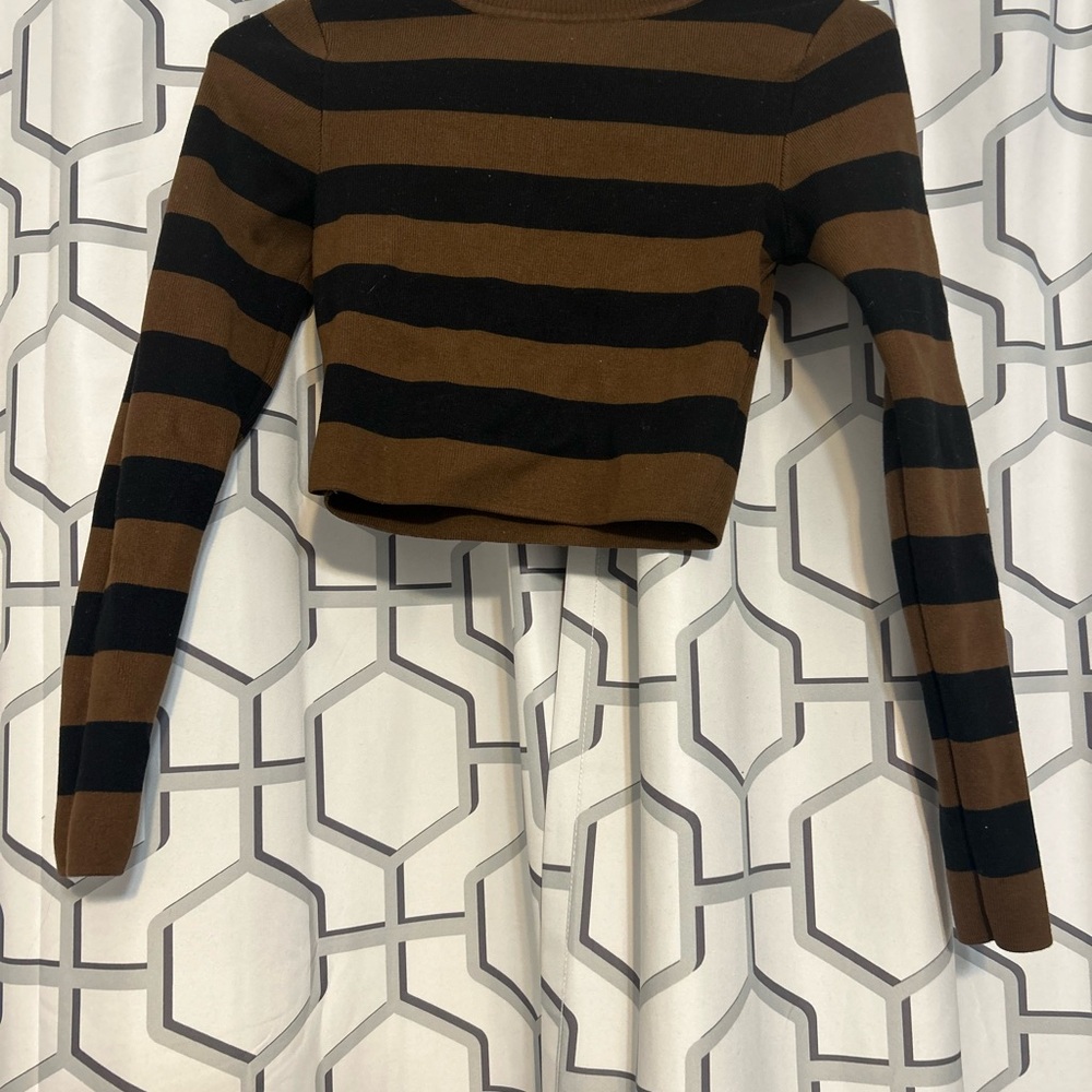 Zara Black and Brown Striped Crop Top